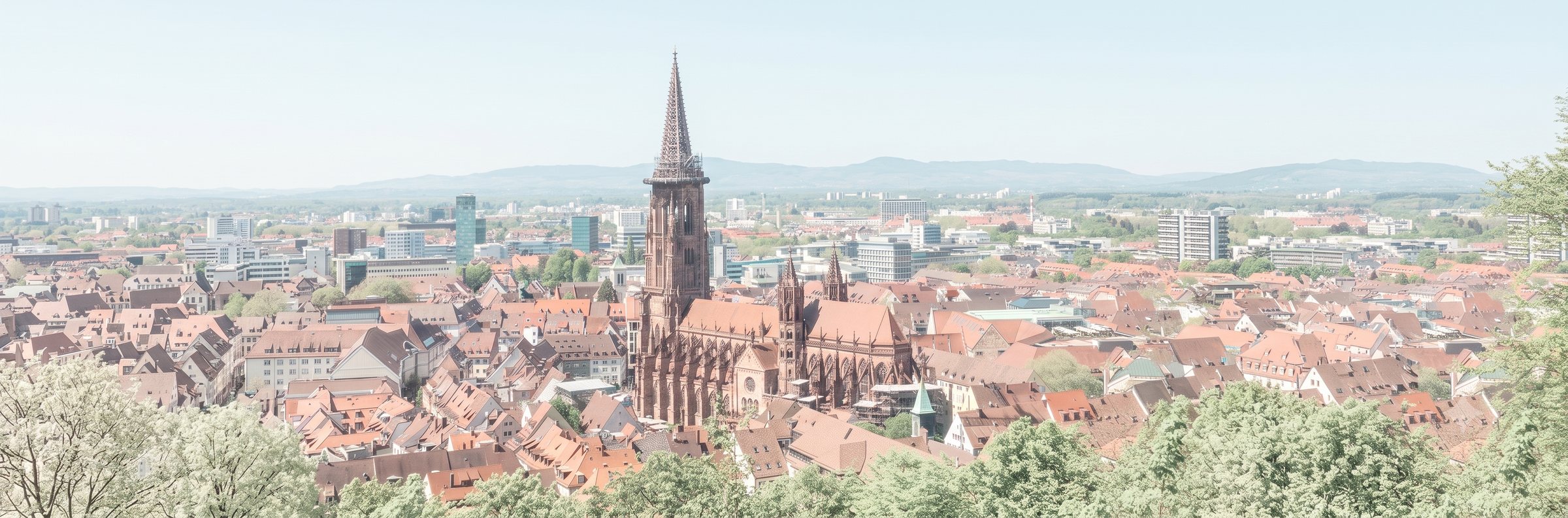 Blick über Freiburg mit dem Münster